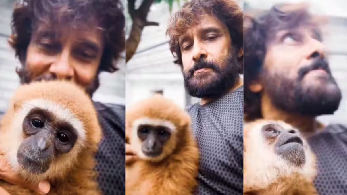 Chiyaan Vikram's Monkey Reel Triggers Wildlife Probe in Tamil Nadu