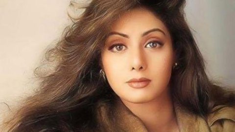 చెన్నై భూ వివాదంలో శ్రీదేవి కుటుంబానికి భారీ న్యాయ విజయం
