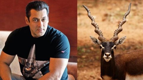 Delhi High Court Sends Notice to Kala Hiran Makers After Salman Khan’s Plea