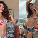 Pooja Hegde Faces Social Media Heat After 'Tera Ho Jaun' Song Release