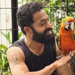 Jr. NTR Unveils Pet Birds Asahi & Yuuhi as 'Dragon' Hype Peaks