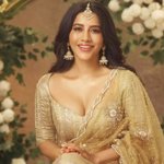 ఇరుముడి చిత్రంలో రవితేజతో కలిసి సందడి చేయనున్న నభా నటేష్