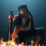 Sujeeth’s Next: Torn Between OG 2 and Nani’s Bloody Romeo?